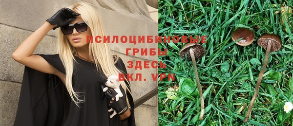 гидропоника Богородицк